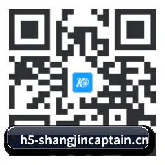 iOS 苹果版 二维码